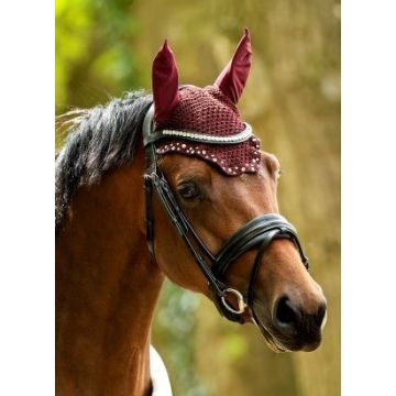 1334A HB Oornetjes met Trydac Swarovski steentjes   