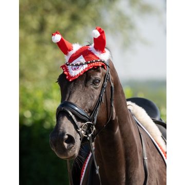 1397 HB Oornetje Christmas      