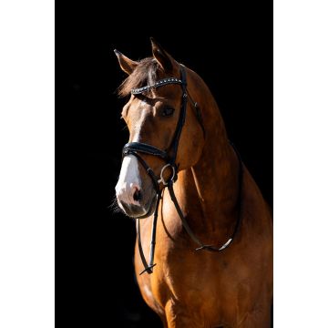 344 HB Showtime Jump Rocky Glitter                  
