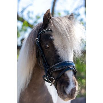 345 HB Showtime Welsh Bridle Rocky glitter       
