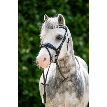 350A HB Showtime Stockholm Special A-pony