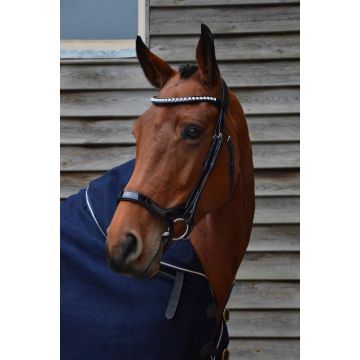 373 HB Showtime Freedom Shine Lakleder