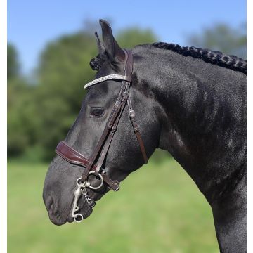 381 HB Showtime Hoofdstel Stang en trens Dream For Ever