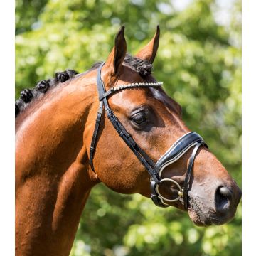 388 HB Showtime Hoofdstel Grandprix