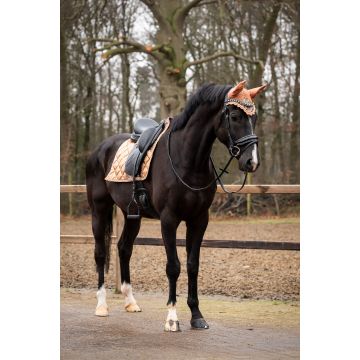 657 HB Showtime Collectie Rio      