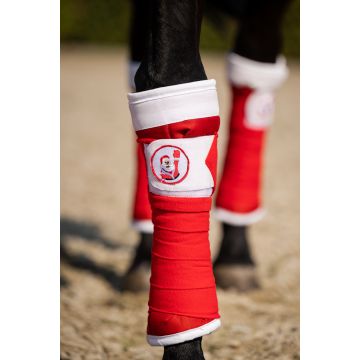 678  HB Onder lappen set  Christmas                 
