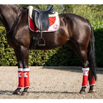679  HB  Luxe bandage set Christmas                      