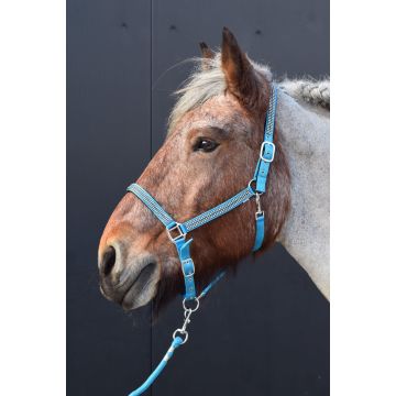731A Halsters Diamonds Collection XX-Full sizes