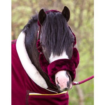 756A HB Showtime Harry and Hector Fluffy halster Little sizes
