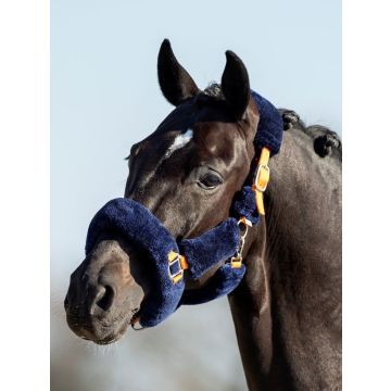 793 HB Show-time Blue Moon Fluffy halster