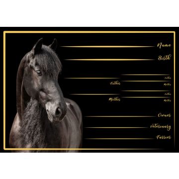 Friese Stalplaat-Fr2