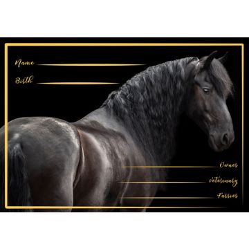 Friese Stalplaat-Fr3