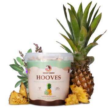 Candy Horse ananas-salie