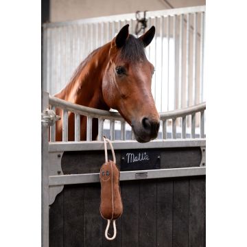 HB Showtime Horse Toys Mr Beanie