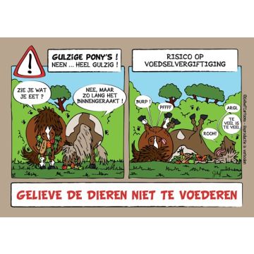 Stalplaat-11 Goinfres
